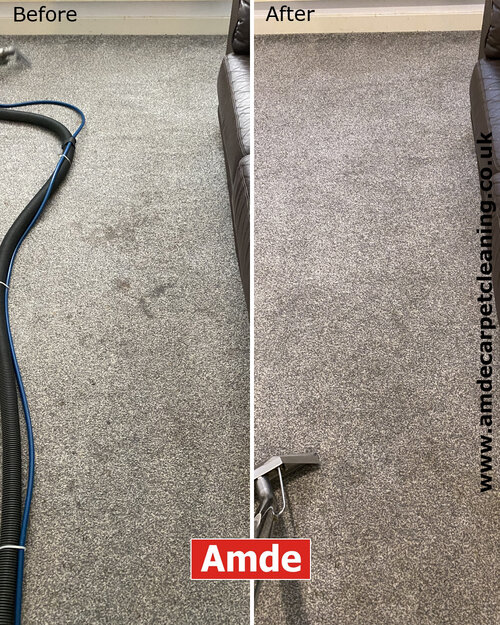 carpet cleaning edinburgh carpet cleaning edinburgh