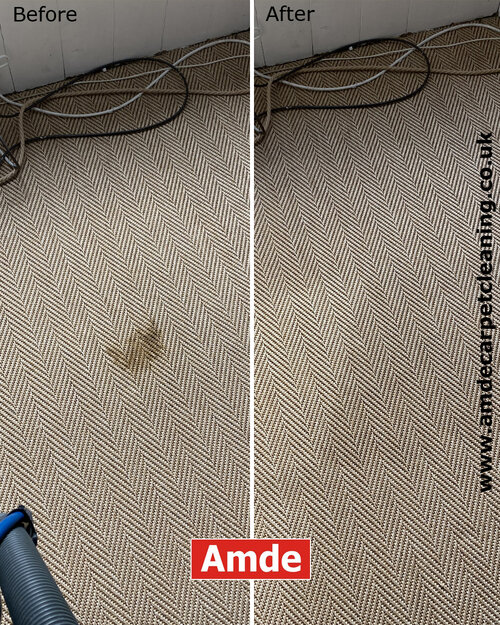 carpet cleaning edinburgh carpet cleaning edinburgh