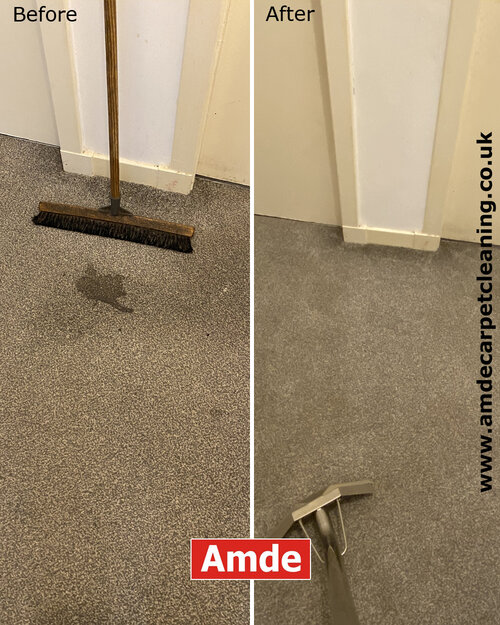 carpet cleaning edinburgh carpet cleaning edinburgh